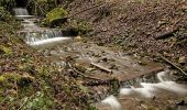 Tocht Te voet Hauenstein-Ifenthal - Ifenthal- Trimbach - Photo 6