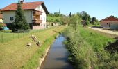 Tour Zu Fuß Dobl-Zwaring - Dobl Rundwanderweg 5 - Photo 2