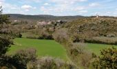 Randonnée Marche La Couvertoirade - autour de la Couvertoirade - Photo 3