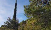 Tocht Stappen Saint-Guilhem-le-Désert - Saint Guilhem L'Ermitage ND de la Grâce - Photo 15