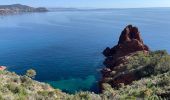 Trail Walking Saint-Raphaël - Cap Roux par l'Est depuis la gare du Trayas - Photo 2