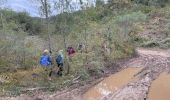 Trail Walking Charleval - PF-Charleval - Les Costes - Bois des Taillades - Cuou de Peyrou - Photo 6