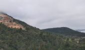 Trail Walking Brignoles - l'Amarron - Photo 3