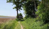 Trail Walking Hannut - La balade des chevées (5km)  - Photo 5