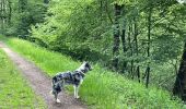 Trail Walking Chiny - Chiny le long de la Semois - Photo 17