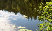 Percorso A piedi Stadt Kufstein - Pfrillsee-Runde - Photo 2