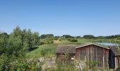 Tocht Stappen Phalempin - 2022/07/17 PHALEMPIN Forêt - Photo 2