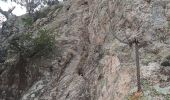 Trail On foot Santa Cristina d'Aro - SL-C 32 Carcaixells d'en Dalmau i de la Roca Rodona - Photo 5