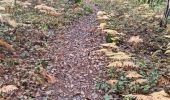 Tocht Stappen Vendôme - Promenade dans la forêt de Vendôme  - Photo 5