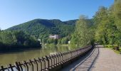 Percorso A piedi Călimănești - sat Căciulata (C.N.I.P.T.) - valea Păușa - Mănăstirea Stânișoara - Photo 2