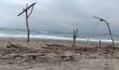 Randonnée Marche Argelès-sur-Mer - mas larrieu dans la tourmente automnale   - Photo 8