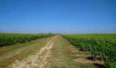 Tocht Stappen Vouvray - Vouvray - Jallanges Vernou-sur-Brenne GR655 GR3 - 19.1km 205m 4h20 (25mn) - 2021 09 01 - Photo 4