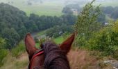 Trail Horseback riding Bouillon - Dohan - Photo 4