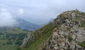 Randonnée Marche Le Grand-Bornand - Aiguille vertr, Lac de Lessy - Photo 13