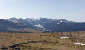 Excursión Senderismo Saulzet-le-Froid - La banne d'Ordanche - Photo 16