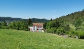 Trail Walking Le Tholy - sentier du blaireau jusqu'en Ecosse - Photo 10