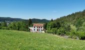 Tocht Stappen Le Tholy - sentier du blaireau jusqu'en Ecosse - Photo 10