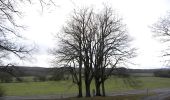 Tour Zu Fuß Viroinval - La Roche aux Faucons - Photo 7