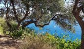 Trail Walking Nice - Ballade chemin des douaniers Nice-Villefranche  - Photo 14