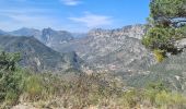 Excursión Senderismo Roquestéron - mont auviere de roquesteron  - Photo 4