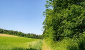 Tour Zu Fuß Höxter - Erlesene Natur - Zu Besuch im Paradies - Photo 9