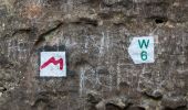 Tocht Te voet Consdorf - W7 Hiking Tour - Photo 1