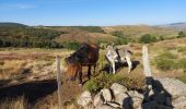 Randonnée Marche Pont de Montvert - Sud Mont Lozère - arsel du pt de montvert a bedoues - Photo 17