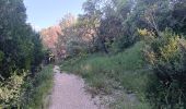 Trail Walking Aramon - aramon - les castillonnes  - Photo 6