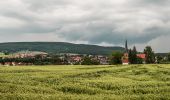 Percorso A piedi Litzendorf - Wanderweg Hügelgräber - Sängerehrenmal - Photo 10