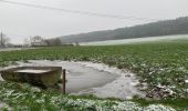 Tocht Stappen Anhée - Ruines de Montaigle - Photo 4