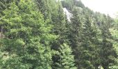 Randonnée Marche Sainte-Foy-Tarentaise - A la recherche de la cascade de la raie  - Photo 2