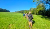 Percorso Marcia Chaumes-en-Brie - Boucle 19 km Chaumes en Brie - Photo 9