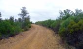 Tour Wandern Boutenac - BOUTENAC - Circuit des combes par la chapelle St Siméon - Photo 19