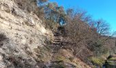 Trail Walking Forcalquier - forcalquier,les mourres - Photo 20