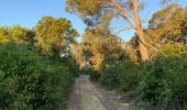 Excursión Senderismo Nîmes - Bois de Mittau et bois des Espeisses - Photo 2