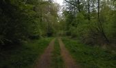 Trail Walking Virton - Lamorteau  -  Balade_VTT_28kms - Photo 11