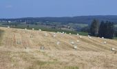 Tour Wandern Sankt Vith - rando schoenberg 20/07/2021 - Photo 16