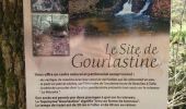 Randonnée Marche Chenailler-Mascheix - gorges de mémoire et cascade gourlastine - Photo 5