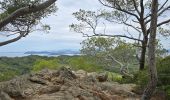 Trail Walking Hyères - Rando Porquerolle - Photo 4