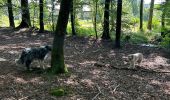 Tocht Stappen Léglise - Bombois mini - Photo 3