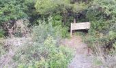 Randonnée Trail La Seyne-sur-Mer - fabregas, sémaphore du cap Sicié. sentier du littoral  - Photo 4