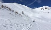 Percorso Marcia Monginevro - La Bergerie par le vallon de l'Alpet - Photo 2