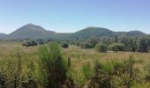 Trail Walking Orcines - TERNANT. CHANAT - Photo 1