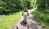 Trail Horseback riding Falck - Falck - Forêt de la Houve - Photo 6