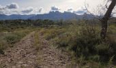 Trail Walking Roquebrune-sur-Argens - z les 3 ruisseaux 20-10-20 - Photo 5