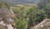 Excursión Senderismo Cabasse - Autour de Cabasse - Photo 6