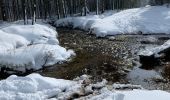 Tour Schneeschuhwandern Malmedy - Randonnée raquettes Mont Spinette-Malmédy - Photo 3