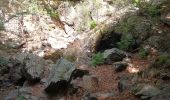 Randonnée Marche Val-d'Aigoual - Cascade d'Orgon-15-06-22 - Photo 10