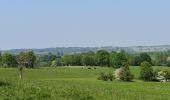 Tocht Stappen Herve - 20200509 - Charneux 8 Km - Photo 15