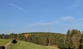 Randonnée Vélo Waimes - Province de Liège tourisme - Le lac de Bütgenbach - Photo 7